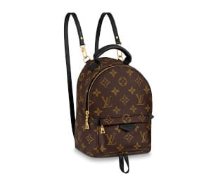 <small>LOUIS VUITTON<br>
                        パームスプリングスミニ M44873</small>